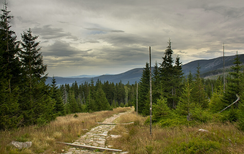 Karkonosze