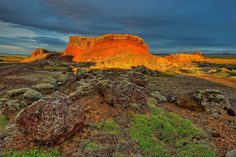 Islandia - pole lawowe