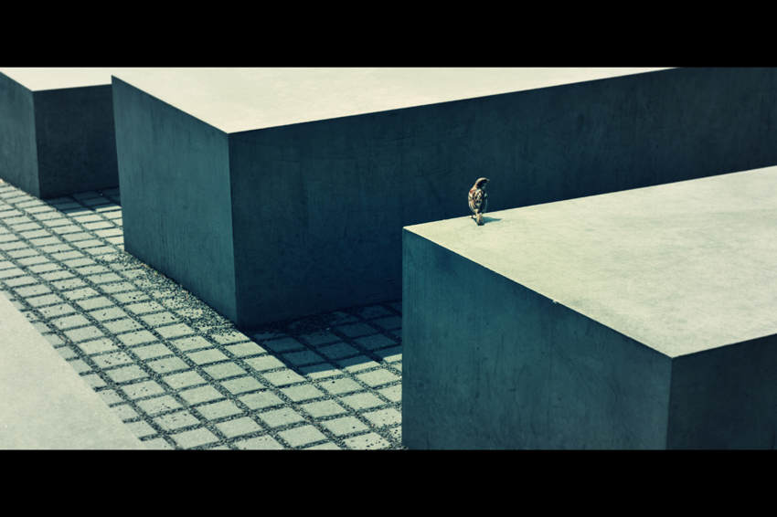 Memorial to the Murdered Jews of Europe - Berlin