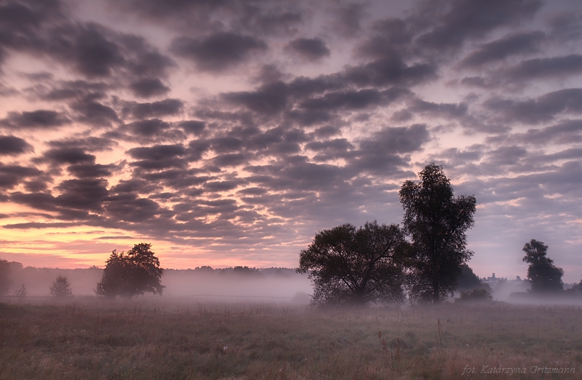 świtańcowa szuflandia