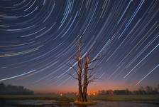 startrails