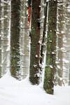 Tatry - trochę inaczej...