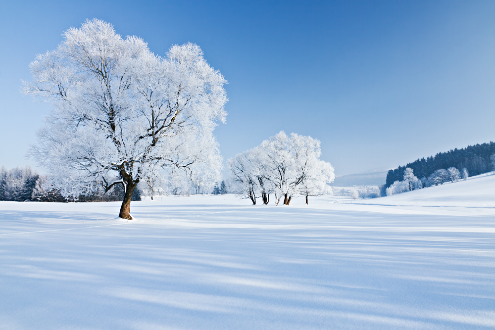 Winter tales...