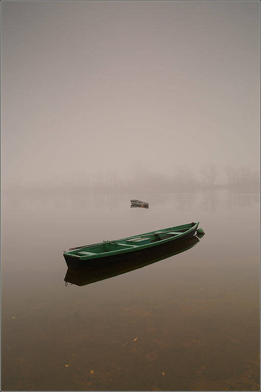 Narew