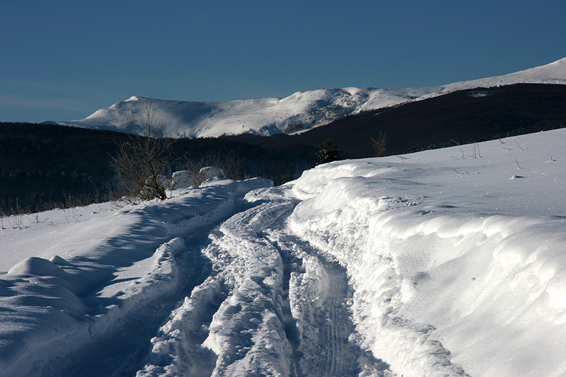 ku górom