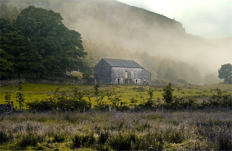 Morning... Lake District Fields