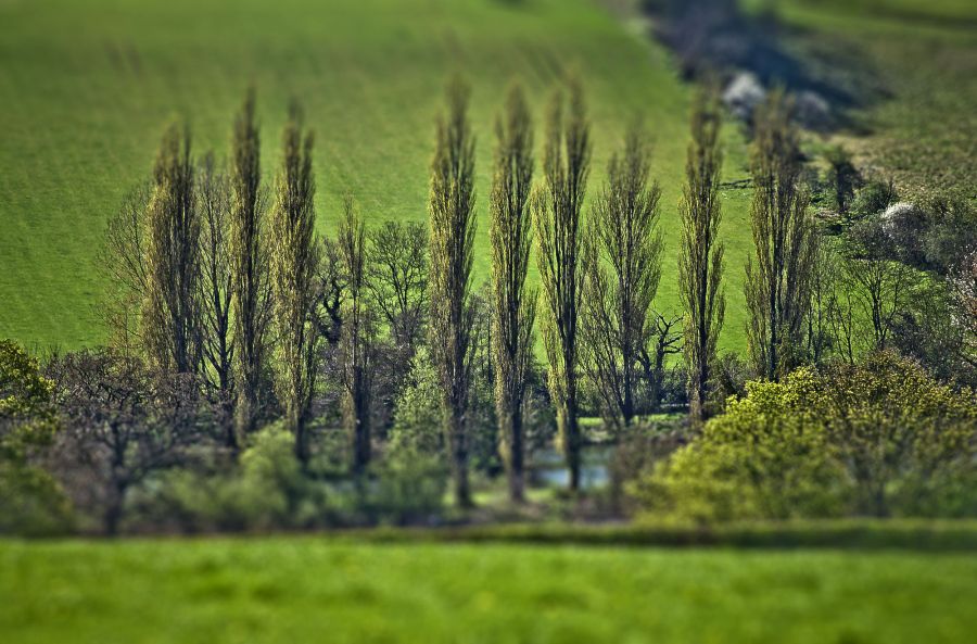 --tilt-shift...