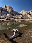 Joshua Tree National Park, Barker Dam