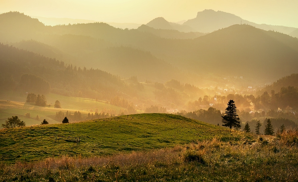 miodowe Pieniny ...