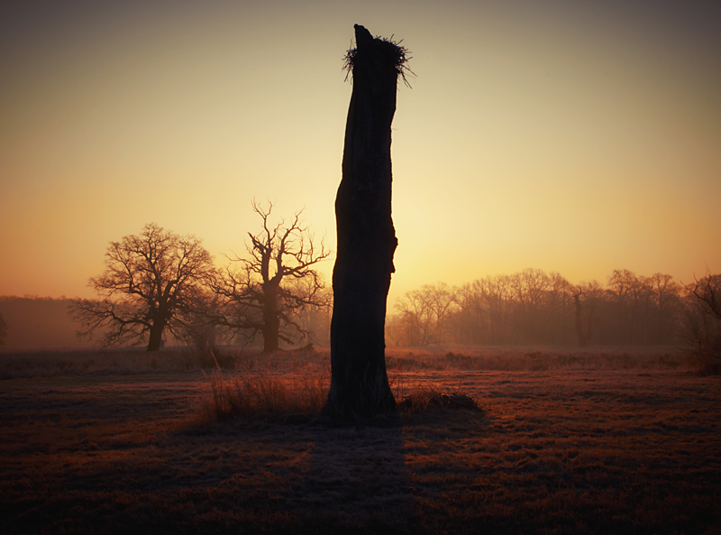 totem