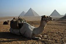 Giza