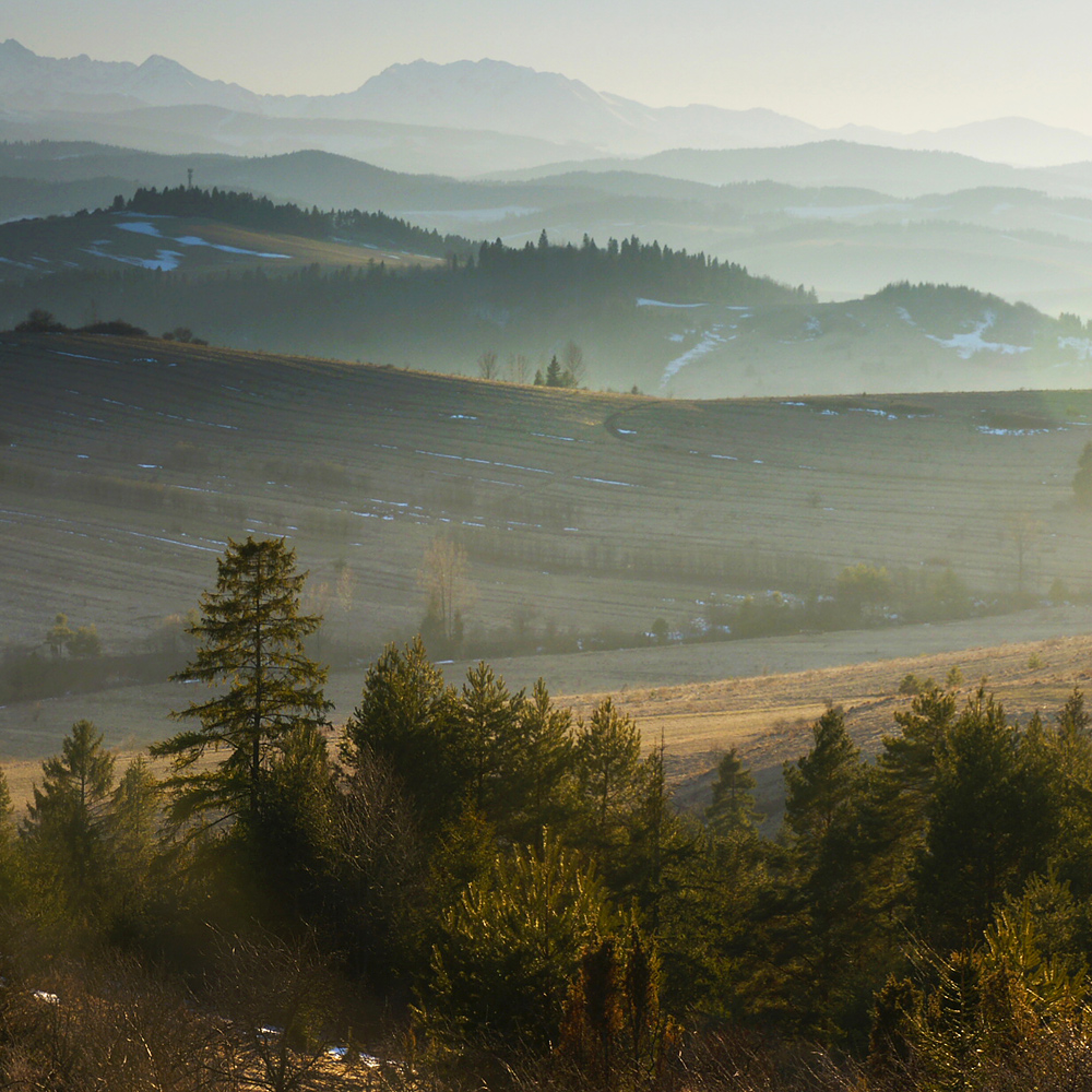 Spojrzenie na Tatry