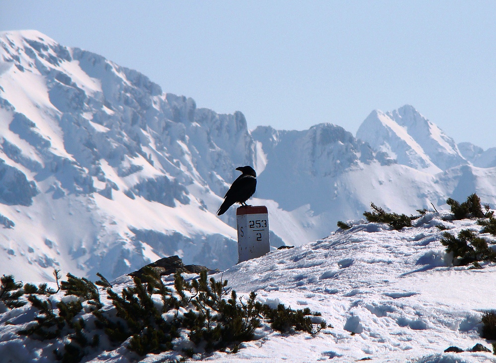 Tatry ...