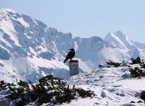 Tatry ...