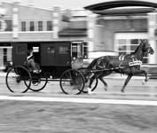 Amish Car