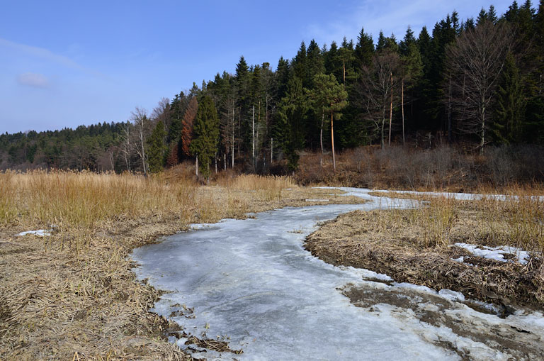 Przedwiośnie