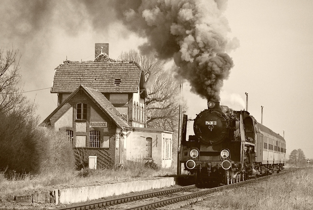 piękny smok z poprzedniej epoki -Helena, marzec 2012