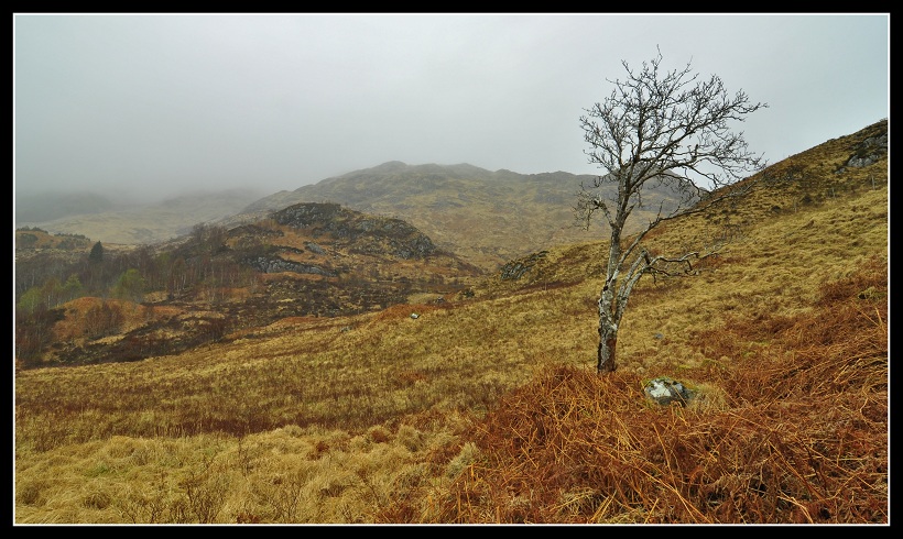 Glenfinnan,Highland, Scotland,