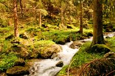 Tatry