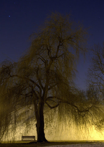 nocą...