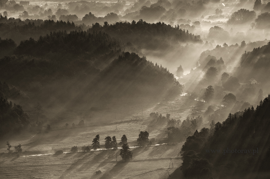 photorav z Sokołów pozdrawia