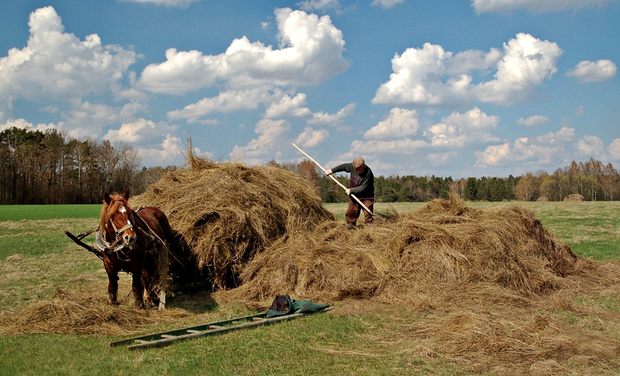 Tylko na Podlasiu !