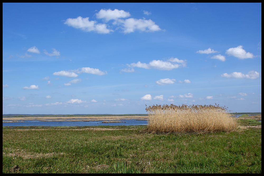 słońsk