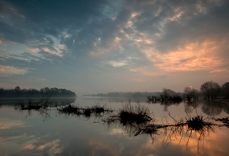 Narew