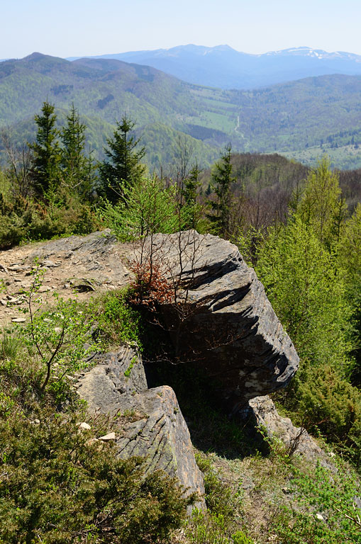 Dwernik Kamień