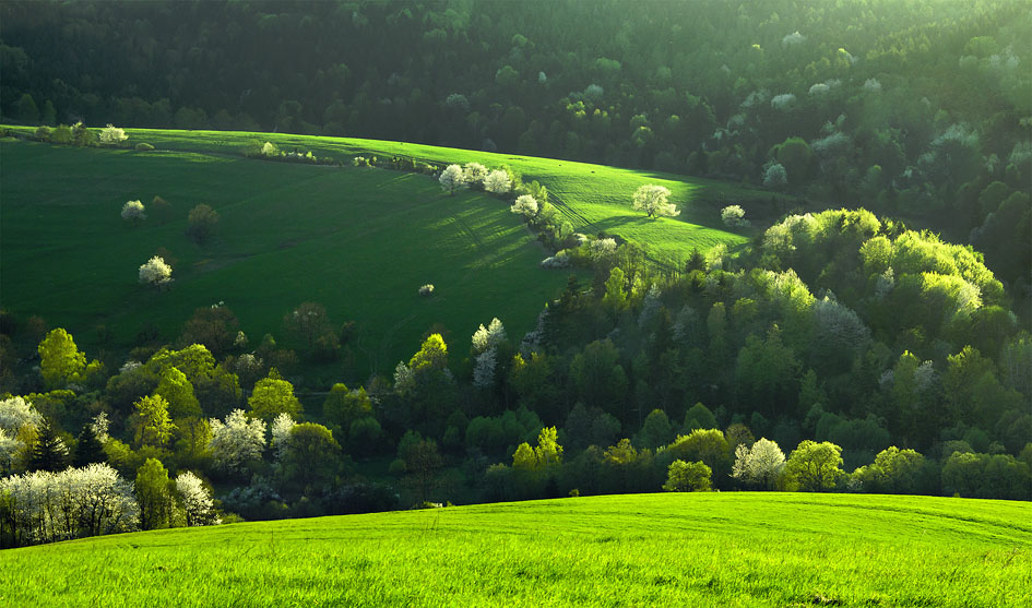 Beskid Niski