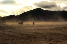 Indonezja - Wulkan Bromo