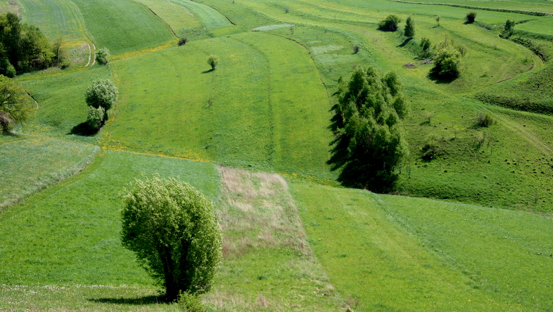 Dolina Racławki