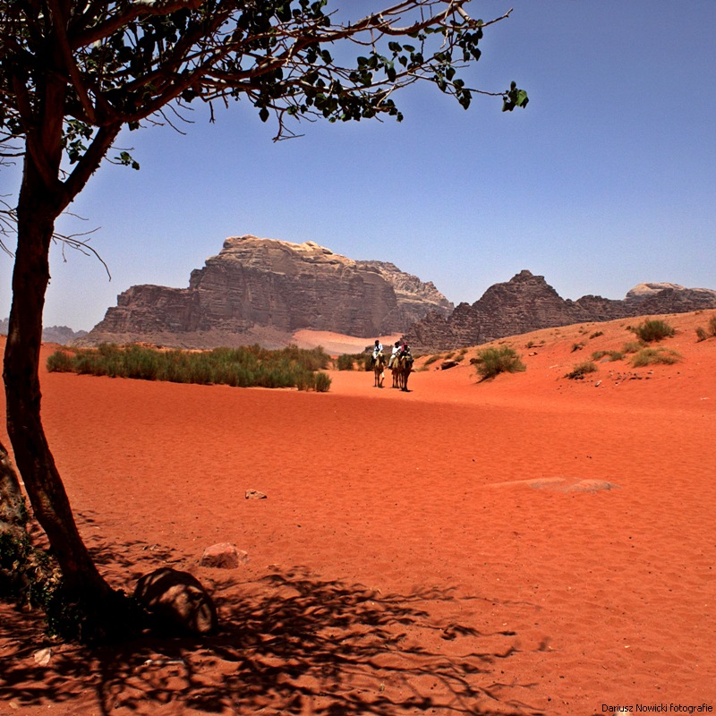 Wadi Rum