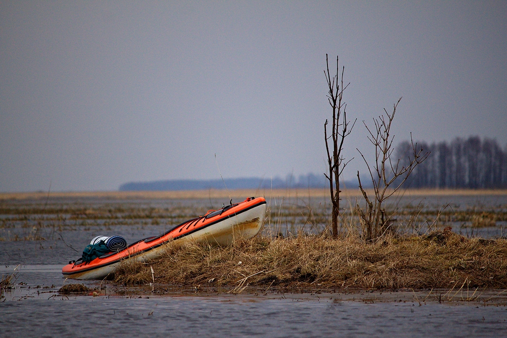 Marzec nad Biebrzą