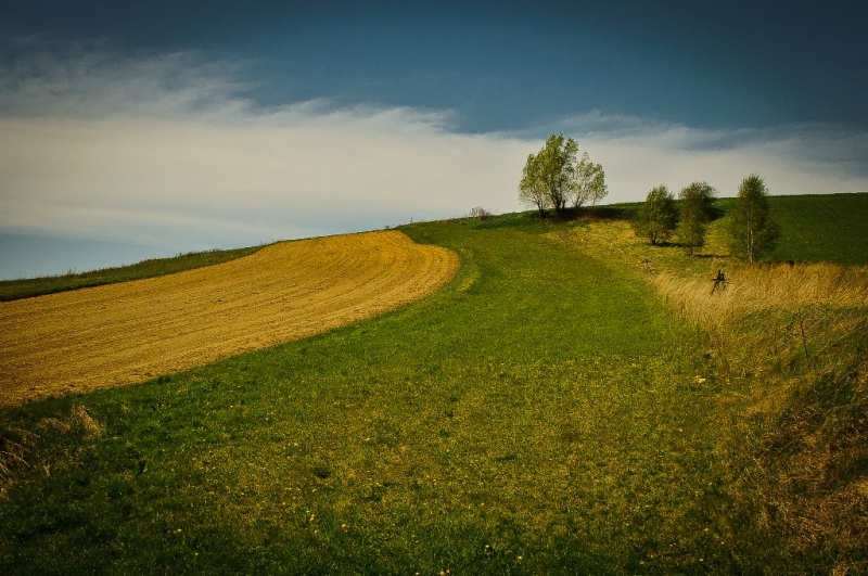 Dolinki podkrakowskie - Racławice