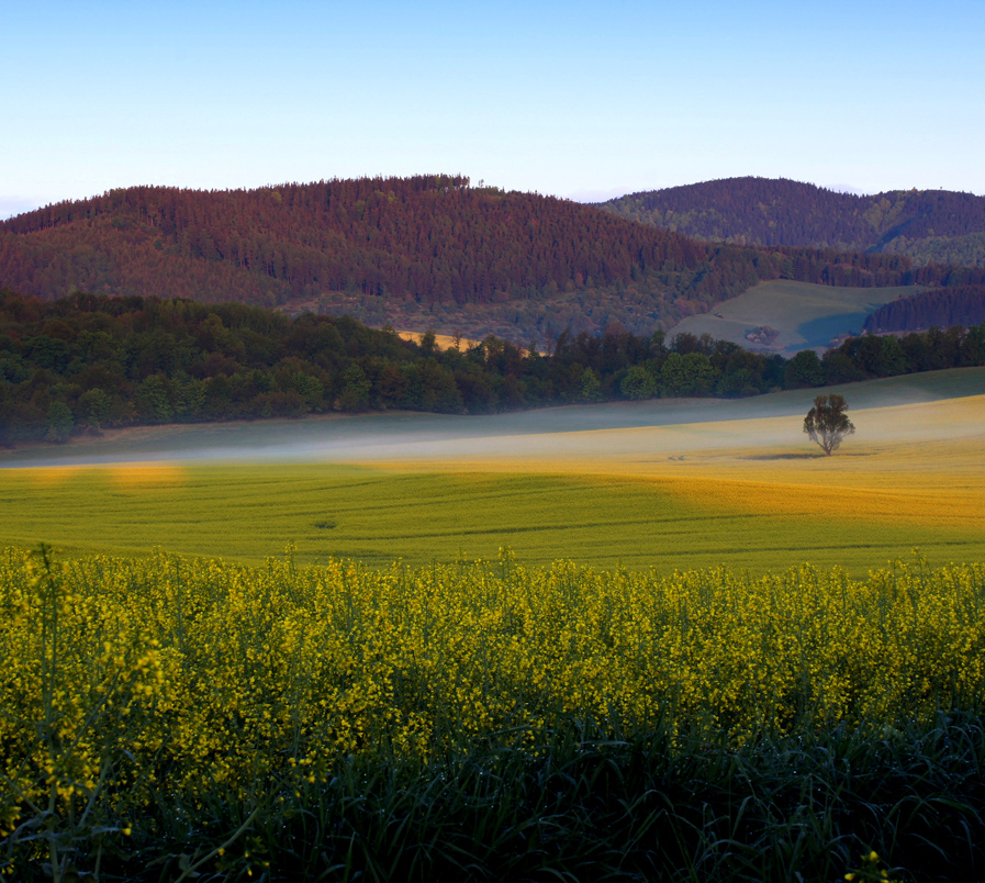 poranek na podwałbrzyskich polach