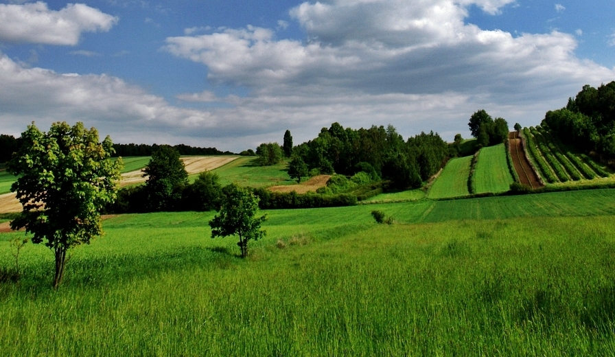 Moja podlubelska Toskania