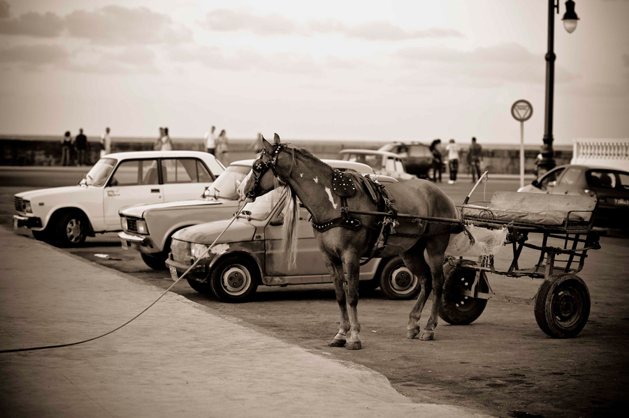 EWOLUCJA ... parking place