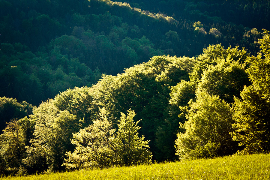 Majowy Beskid