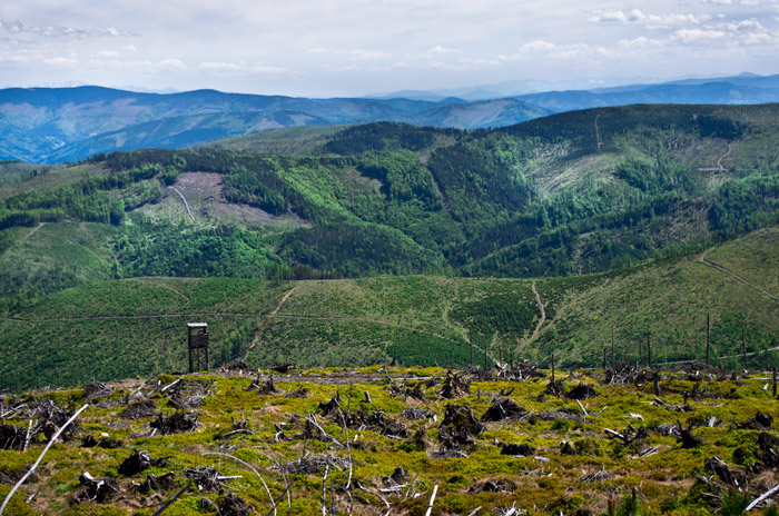 Pięciokolorowy Beskid Śląski