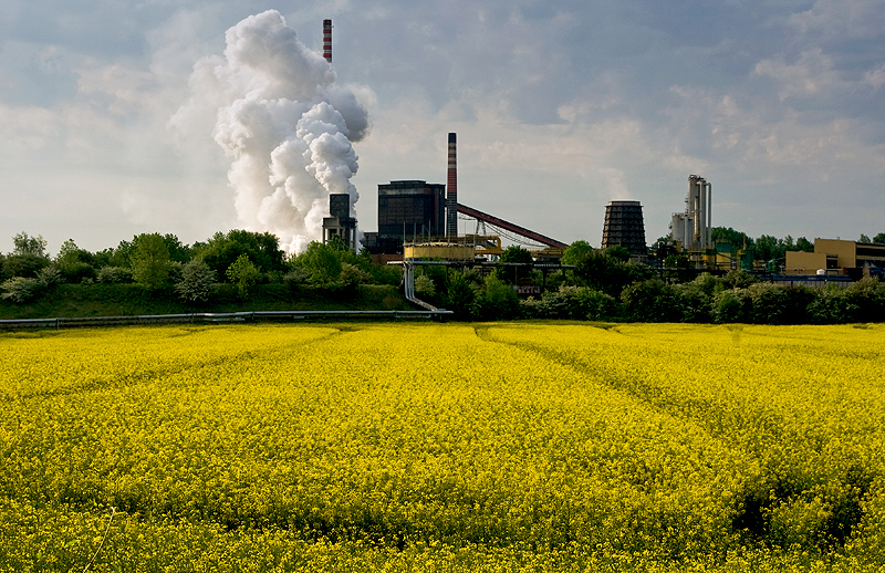 Śląskie Klimaty