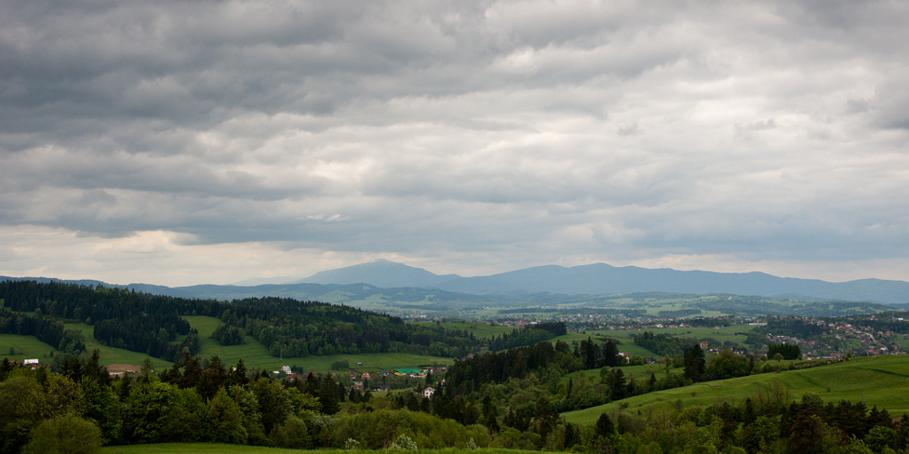 Michał