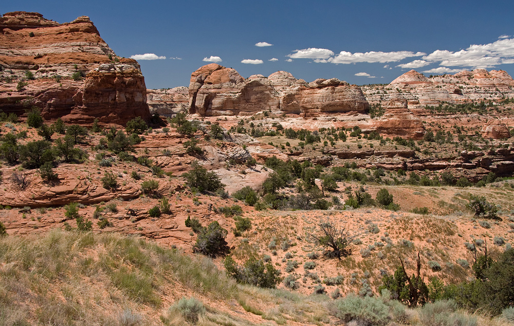 Grand Staircase Escalante