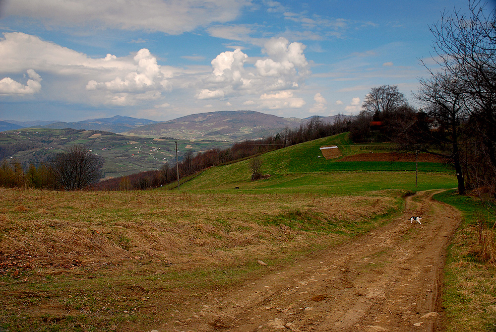 drogi Beskidów... [20]