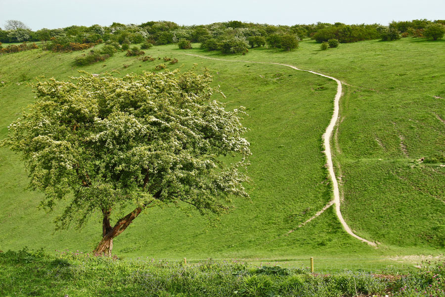 Devils Dyke