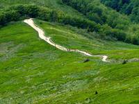 Bieszczady - Tarnica