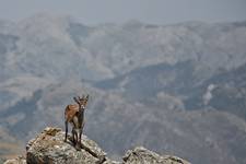 Meeting on the summit