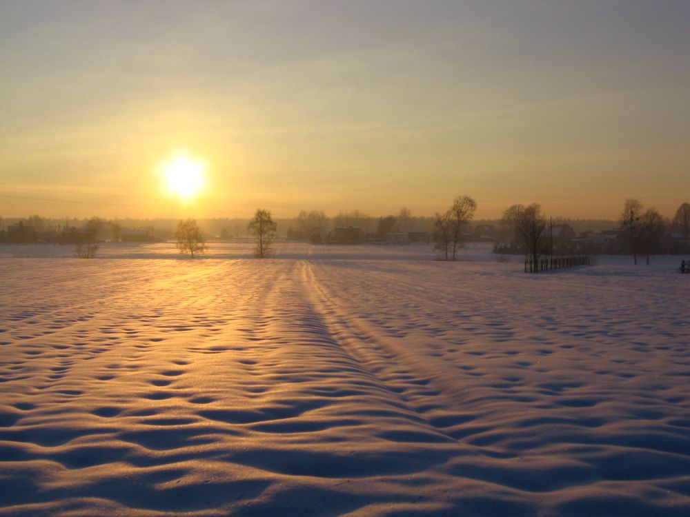 boruszowice