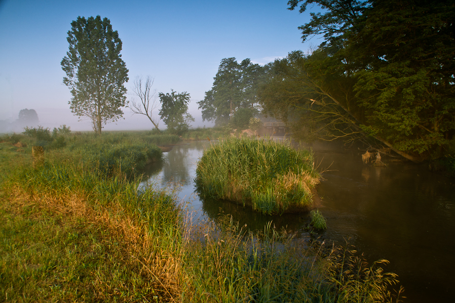 Ranek nad Wolbórką