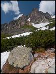 Młynicka Dolina Tatry Słowacja